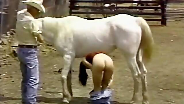 Vintage Videos